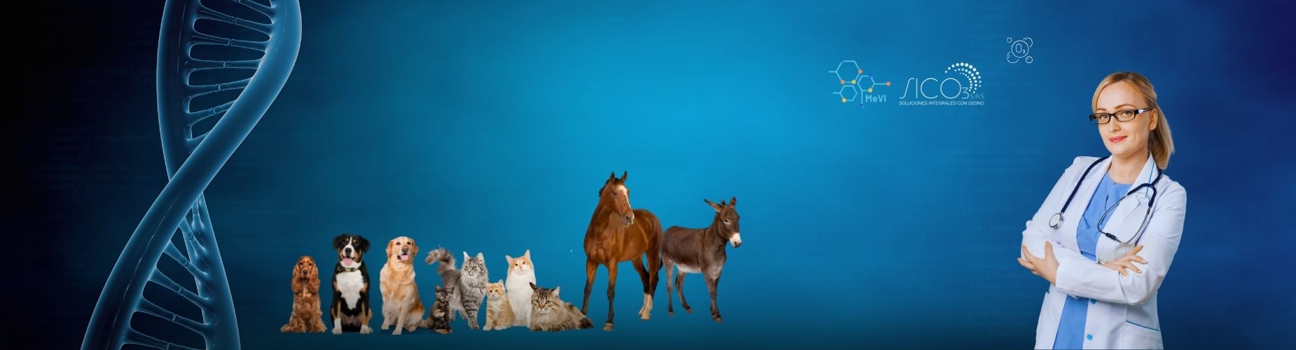 6to Diplomado Internacional de Oxígeno-Ozonoterapia y Terapéuticas Integrativas Avanzadas en Medicina Veterinaria