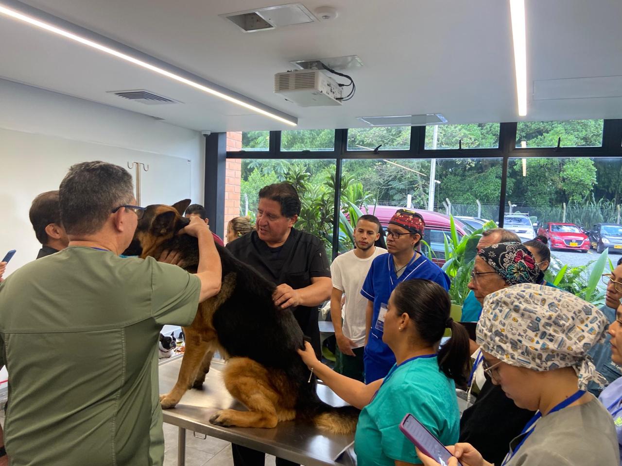 8° Workshop Internacional SICO3 S.A.S. Medicina Regenerativa y Ozonoterapia Aplicada en Medicina Veterinaria