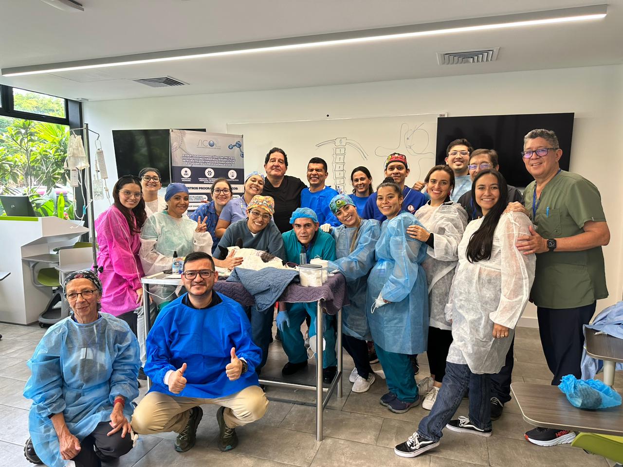 9 Workshop en Medicina Veterinaria Integrativa aplicada en pequeños animales